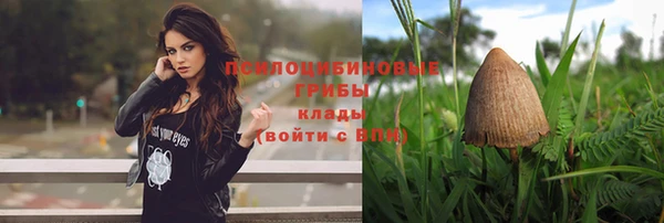 тгк Покровск