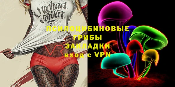 гидра Галич