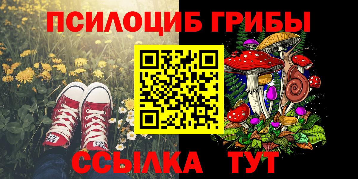 даркнет сайт  Вход с VPN  Кропоткин  Галлюциногенные грибы MAGIC MUSHROOMS 