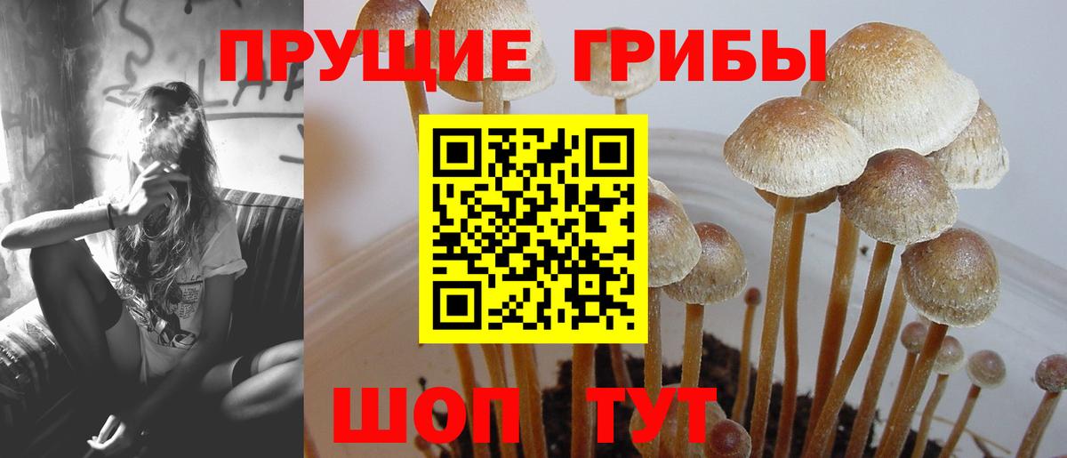 Галлюциногенные грибы MAGIC MUSHROOMS Кропоткин